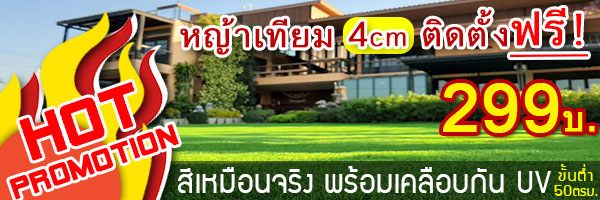 สินค้าจัดโปรโมชั่นพิเศษ