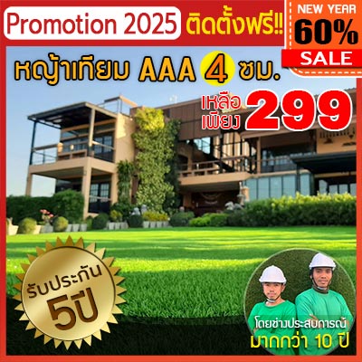 โปร299