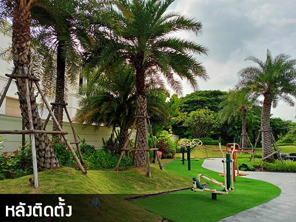 สนามมินิกอล์ฟสวยได้ดั่งใจ