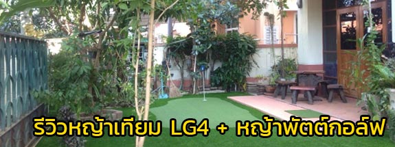 รีวิวหญ้าพัตต์กอล์ฟ