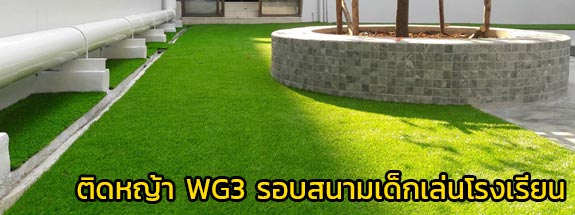 ติดหญ้าเทียม WG4 รอบสนามเด็กเล่นโรงเรียน