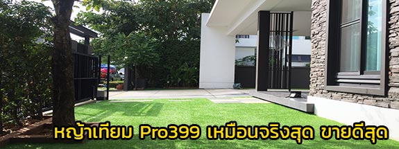 รีวิวหญ้าเทียม Pro399